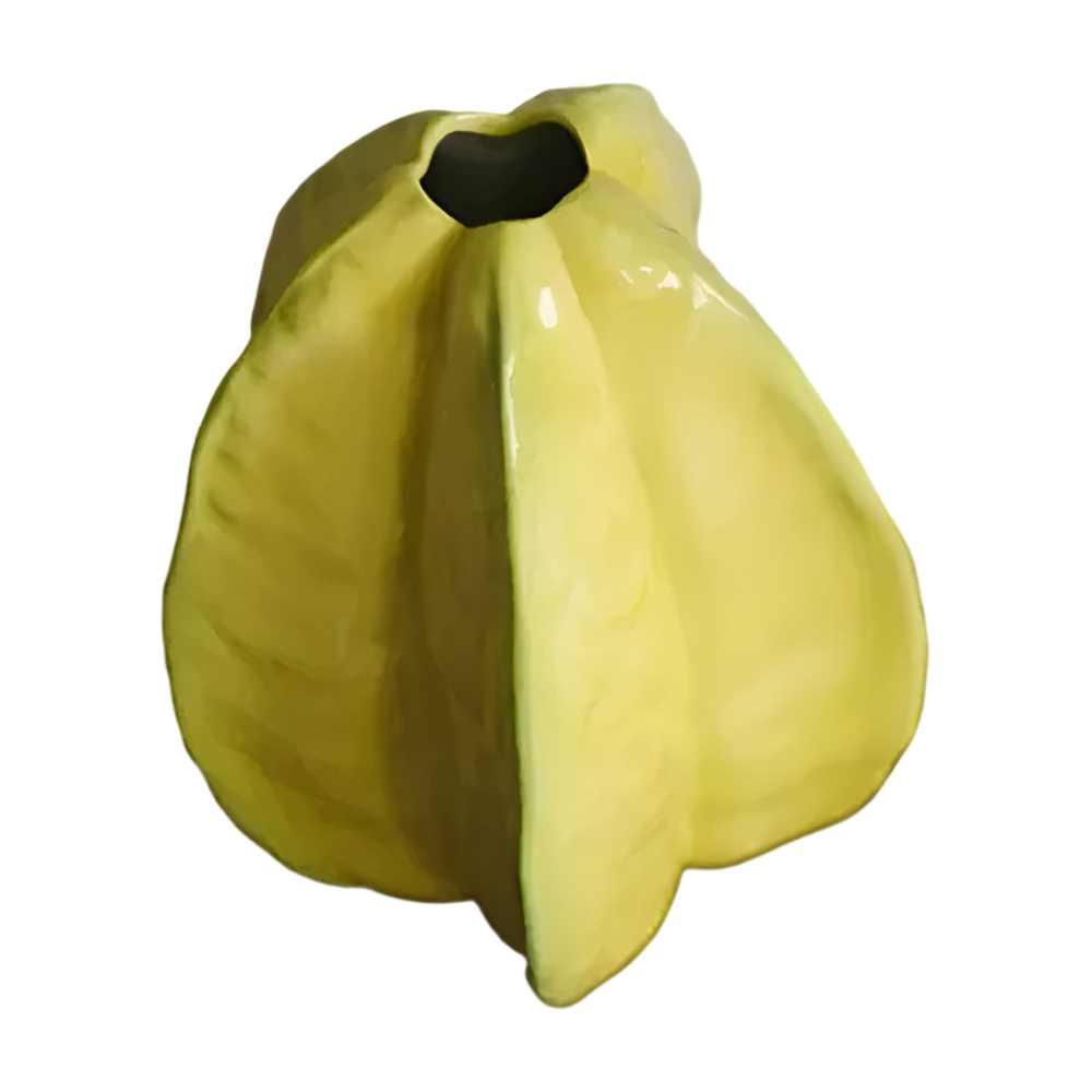 Otwór wazonu ceramicznego w kształcie karamboli